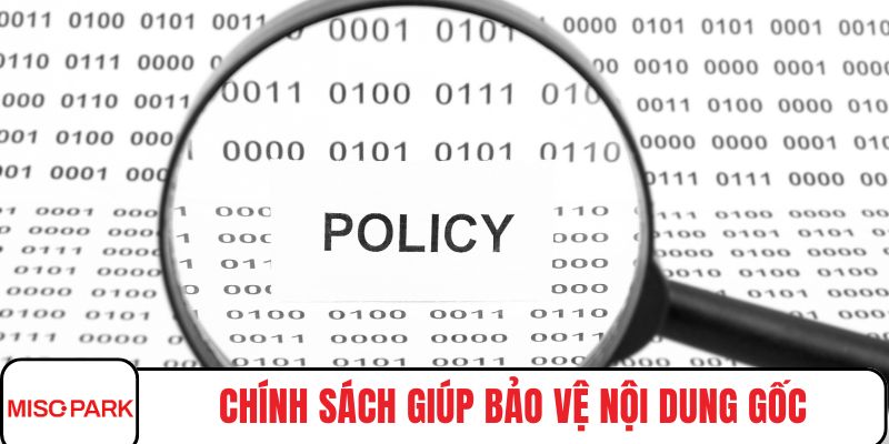 Chính sách giúp bảo vệ nội dung gốc của website