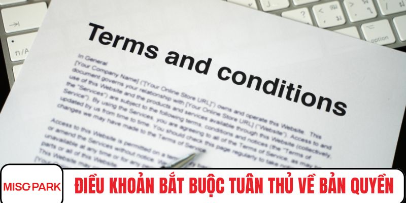 Điều khoản bắt buộc tuân thủ về bản quyền