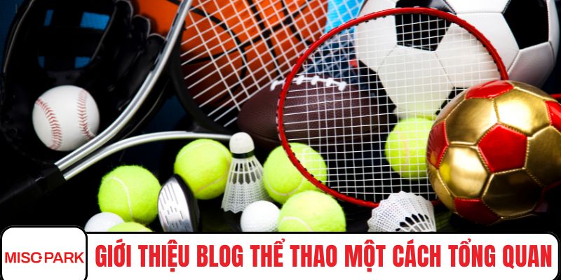 Giới thiệu blog thể thao một cách tổng quan