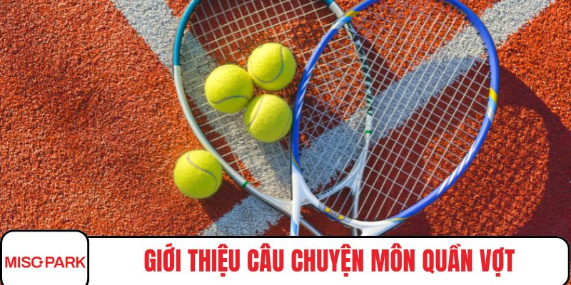 Giới thiệu về câu chuyện xung quan môn quần vợt