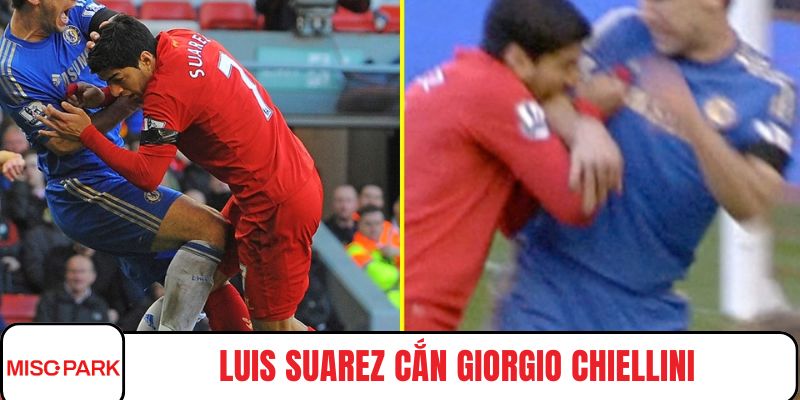 Luis Suarez cắn Giorgio Chiellini gây chấn động world cup