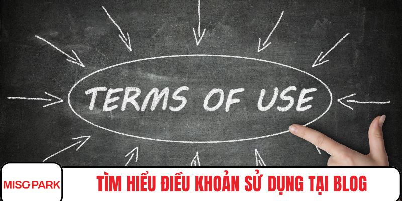 Tìm hiểu điều khoản sử dụng tại blog
