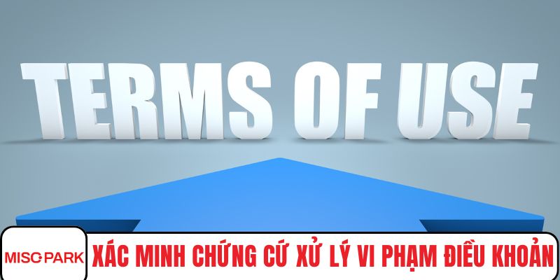 Xác minh chứng cứ xử lý vi phạm điều khoản